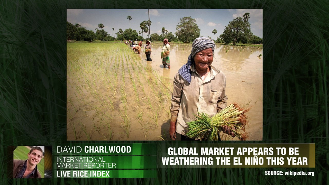 Reis: gegenläufige Effekte