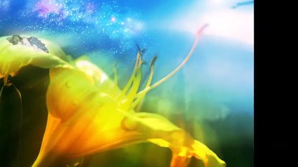 ΔΕΝ ΗΤΑΝ ΨΕΜA: ΓΙΩΡΓΟΣ ΓΡΑΜΜΑΤΙΚΑΚΗΣ(πρώτη εκτέλεση)