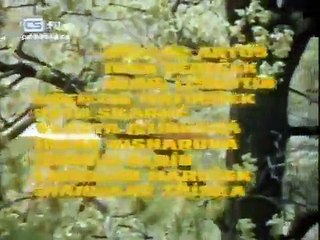 Trnové pole psychologické drama Československo 1980