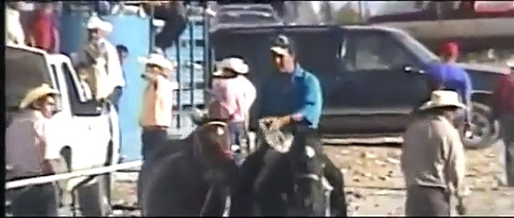 Caballos Del Pacifico (2004)