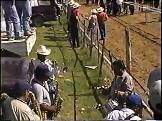 Bestias a Todo Galope 2 (2001)