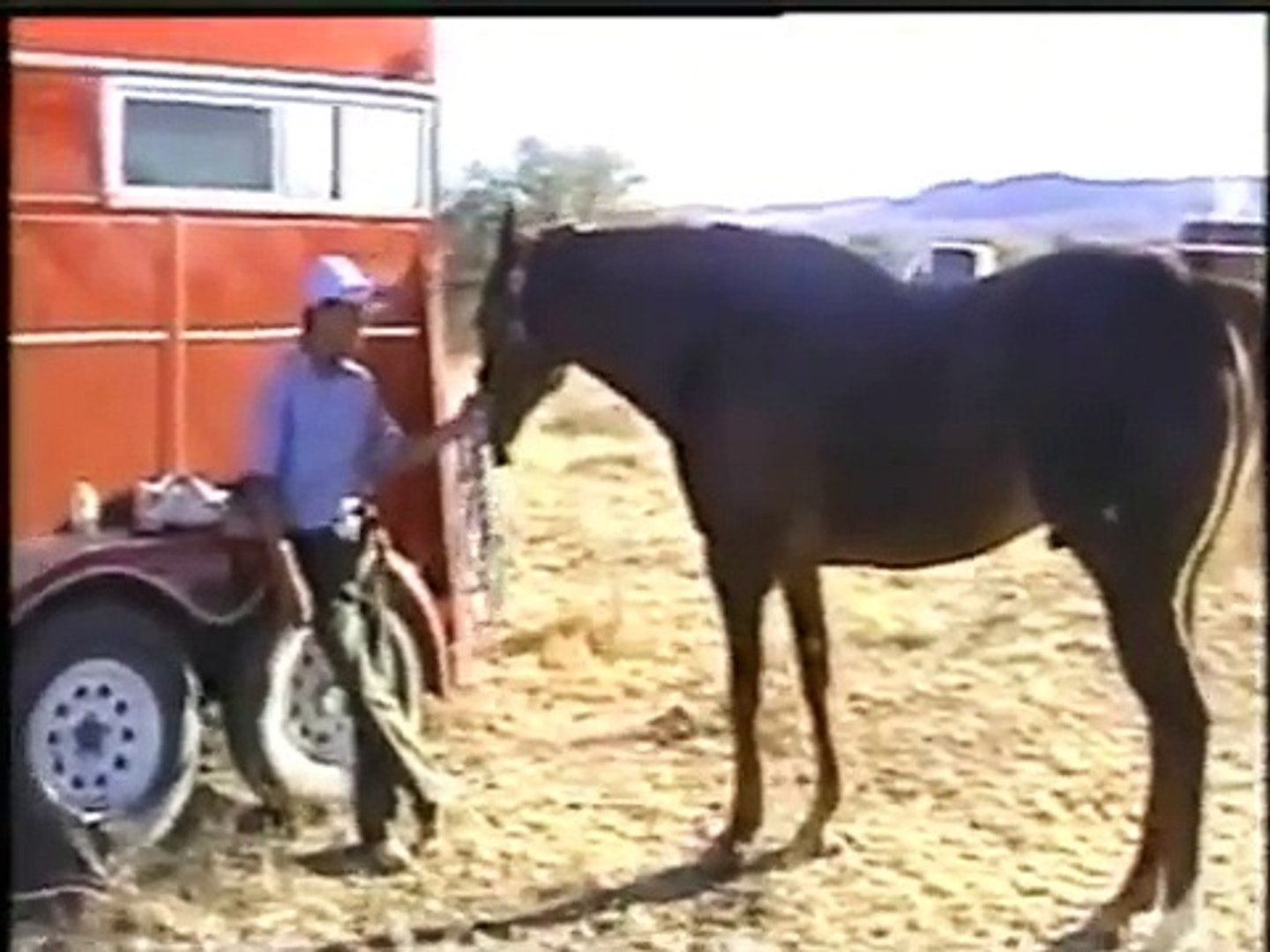 Caballos y Canciones Para la Raza (1998) - video Dailymotion