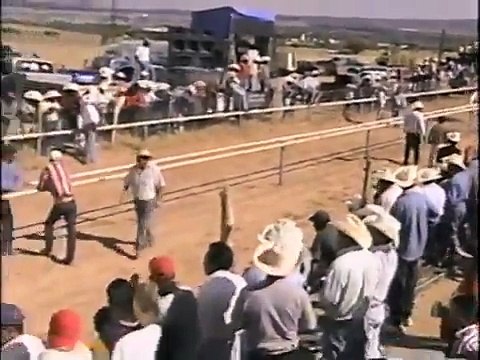Carrera de Caballos - Pura Sangre (1996)
