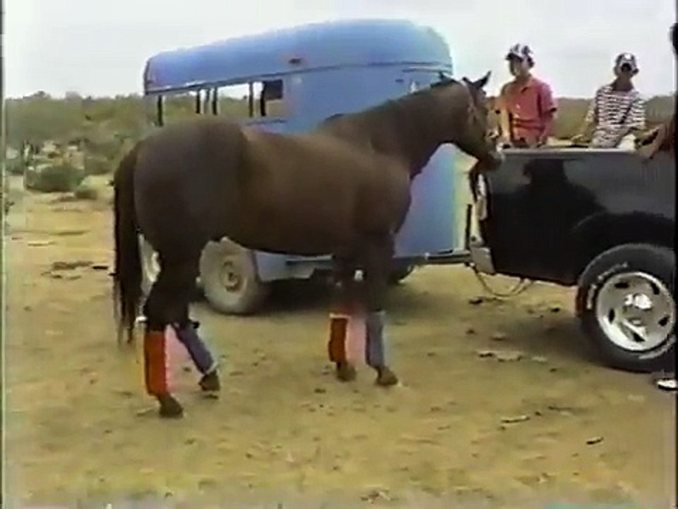 Caballos en Chinga 1 (1997)