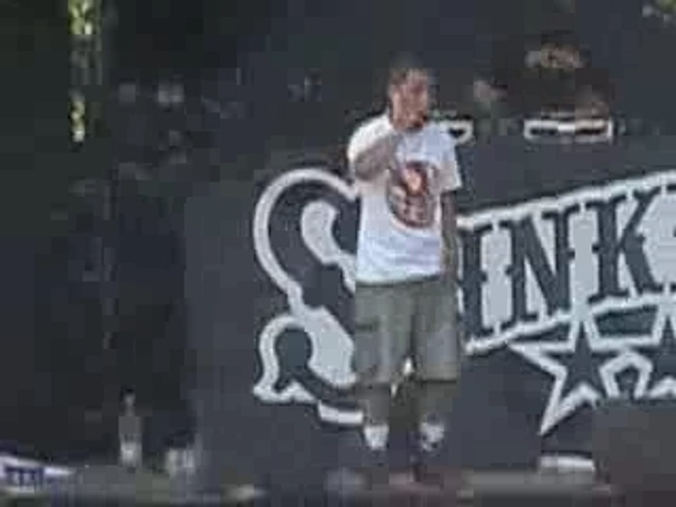 Svinkels - Eurockéennes 2004 (by DtracKs)