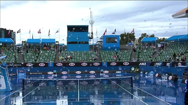 Top 5 AO animal interactions | Australian Open 2016 (720p Full HD)