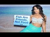 Richa Chadda shoots as Mermaid for PETA VEGETARIAN AD.
