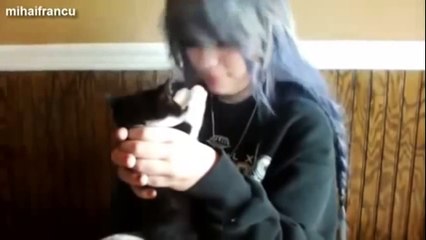 FUNNY NEW VIDEOS Funny Cats Funny Cat Videos - Kitten Fails 2014 HD