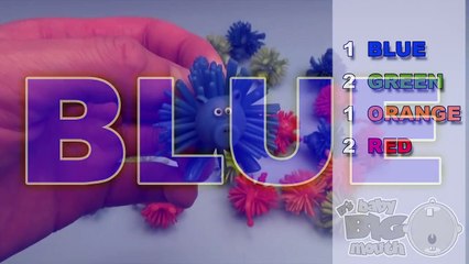 Learn Colours with Squishy Animals! Fun Learning Contest!