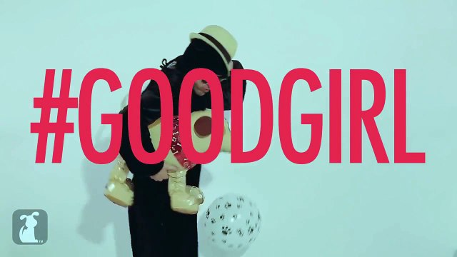 Robin Thicke - Blurred Lines / Furred Lines - PET PARODY Trailer