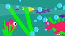 12345 Once I Caught A Fish Alive | Fun Nursery Rhymes by Hooplakidz