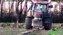 CASE IH PUMA 210 & ROTOR STUMPER REMOVING STUMPS in Italy 2015