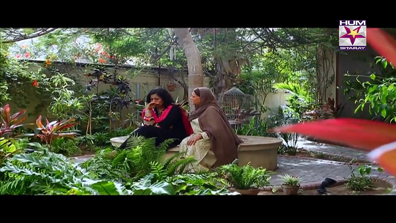 Sawaab Episode 18 Full HumSitaray TV Drama 05 July 2015