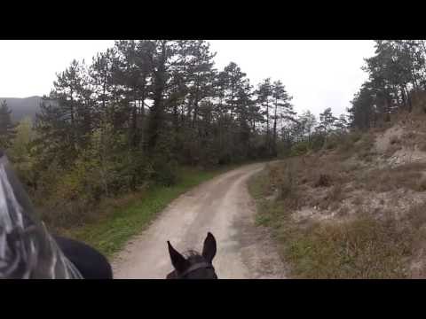 Barbie Mega Bloks Barbie Build N Play Horse Stable with Horse Rider Barbie Dolls