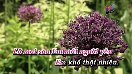 LK Tình Đời & Phận Tơ Tầm_Việt Tú ft Minh Chuyên-Karaoke