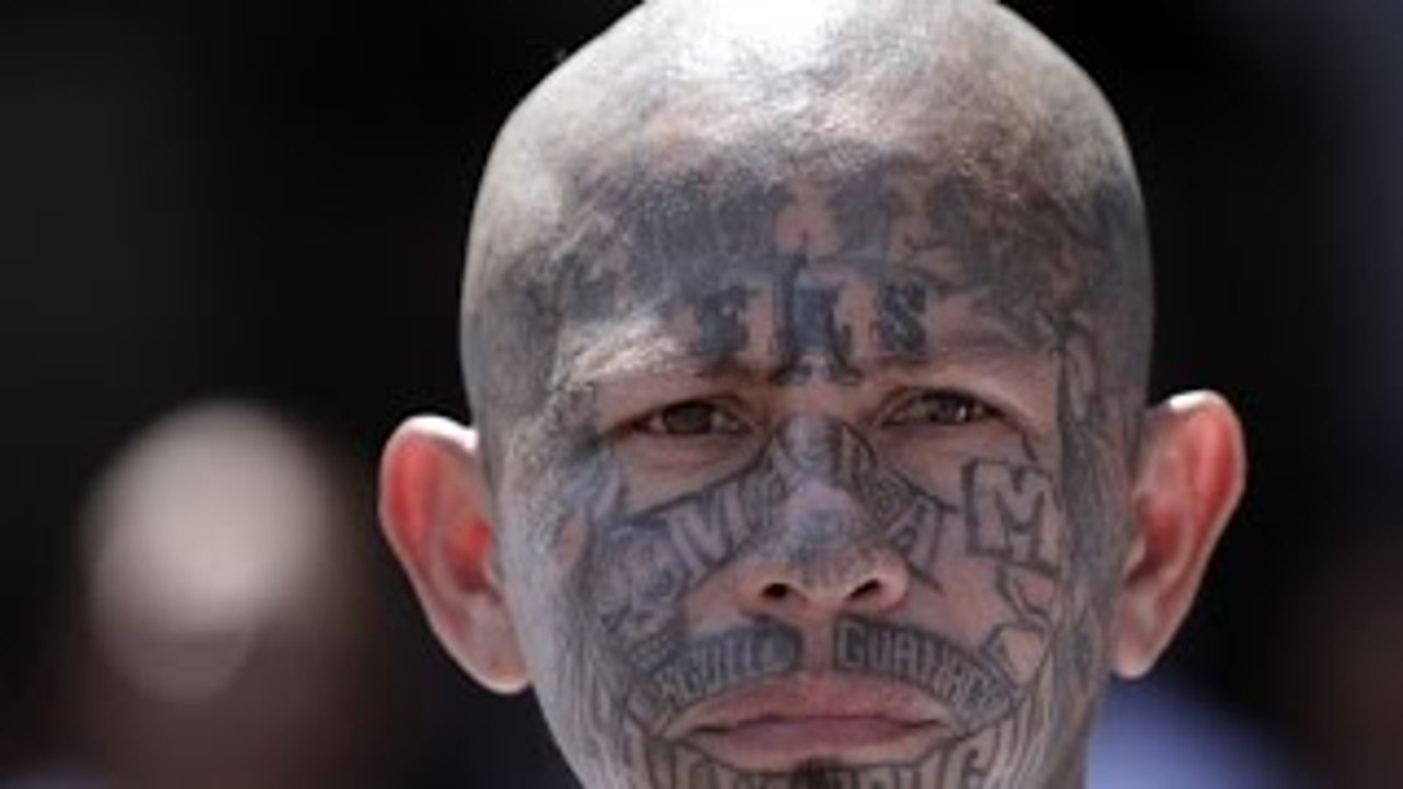 Mara Salvatrucha 13 Documentary