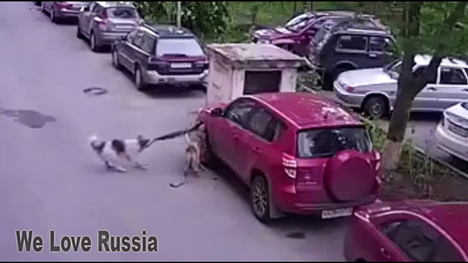 ⁣Russian Fail Compilation #54 Funniest Russian moment We Love Russia 2016 HD