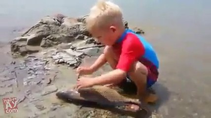 FUNY AMZING VIDEOS (30)