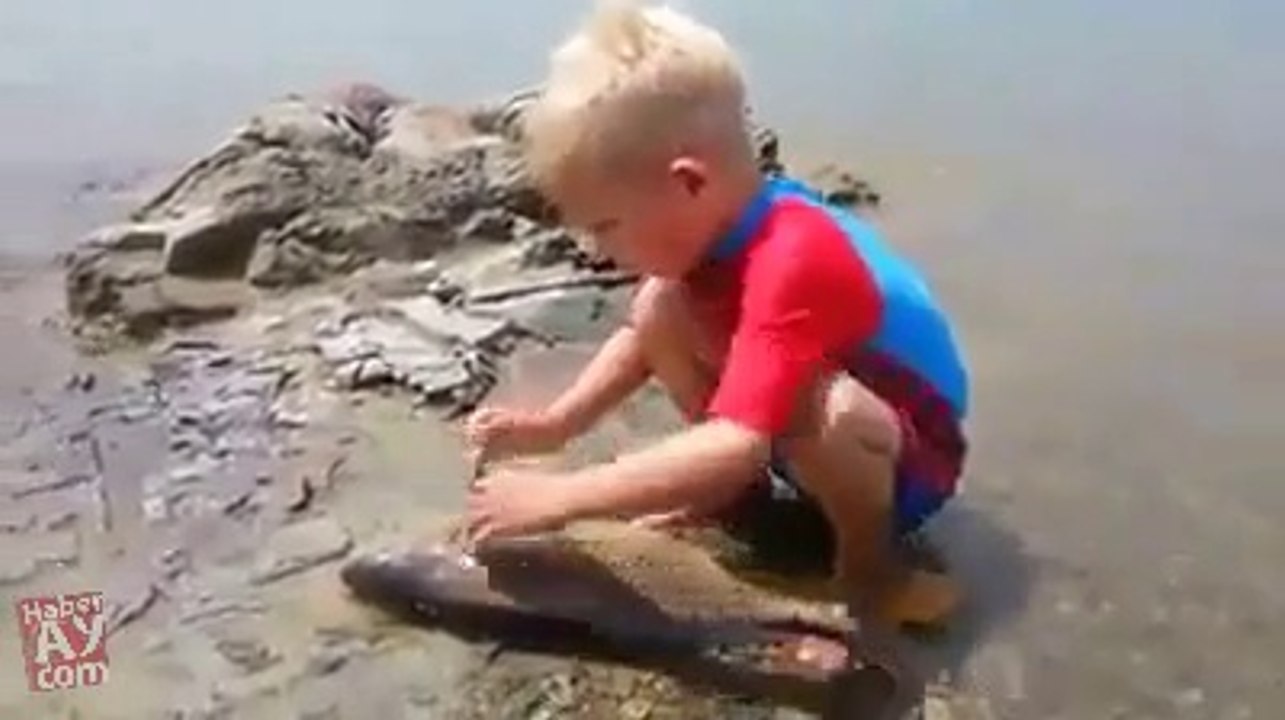 FUNY AMZING VIDEOS (30)