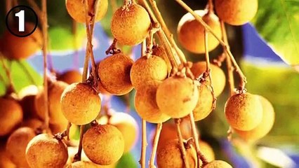 11 Fruits You've Never Heard Of Video Clips