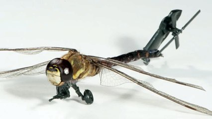 10 Frightening Future Military Technologies_clip2