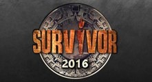 Survivor 2016 Gönüllüler Takımı Belli Oldu!