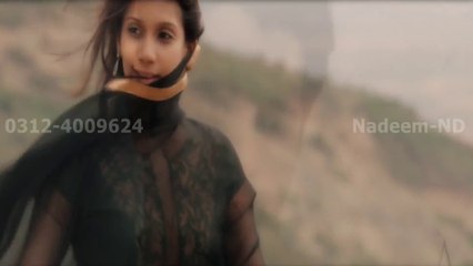 Top Hindi & Bollywood Songs 🎶 (New & Old)