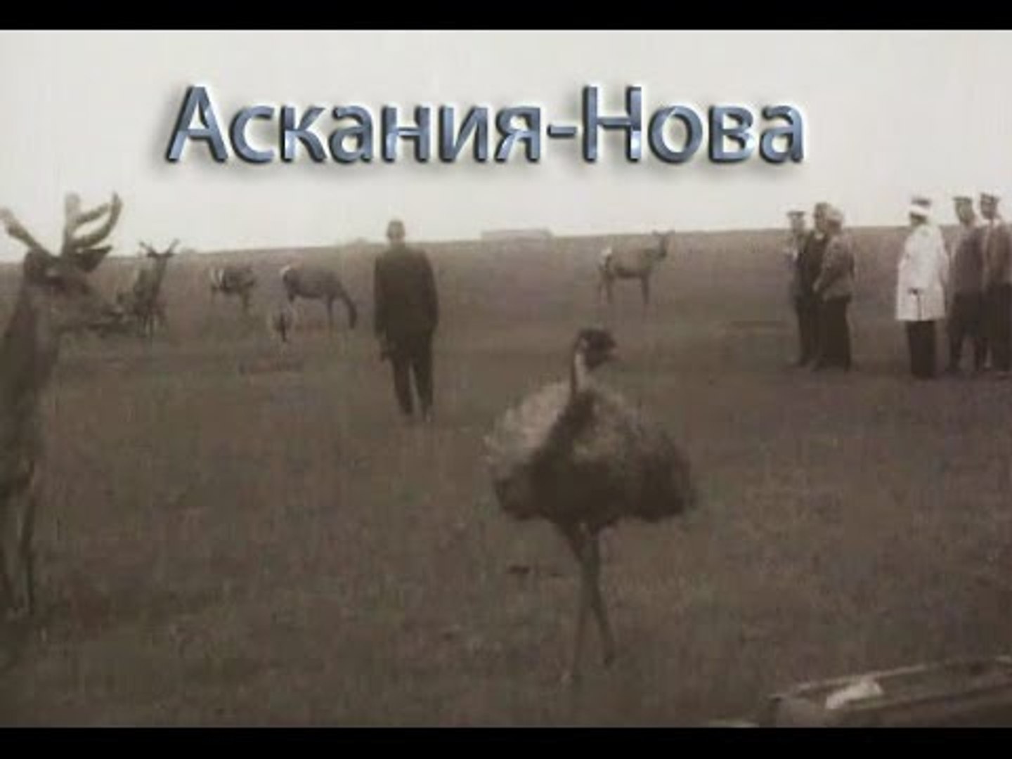 ⁣Аскания Нова - 1937    Научно-документальный фильм о биосферном заповеднике в Херсонской области
