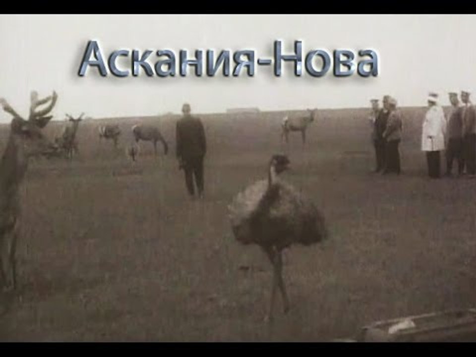 Аскания Нова - 1937    Научно-документальный фи...
