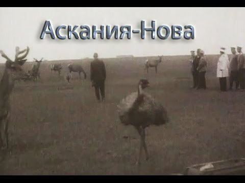 Аскания Нова - 1937 Научно-документальный фильм о биосферном заповеднике в Херсонской области