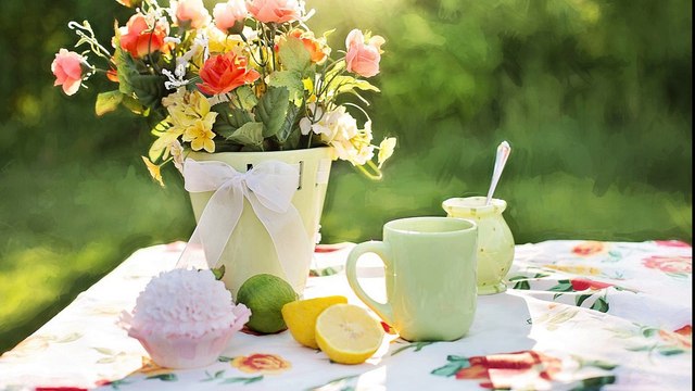 Tranquil Birdsong - Nature sounds - birds singing