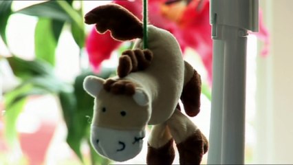 Complications at birth - Premature Triplets