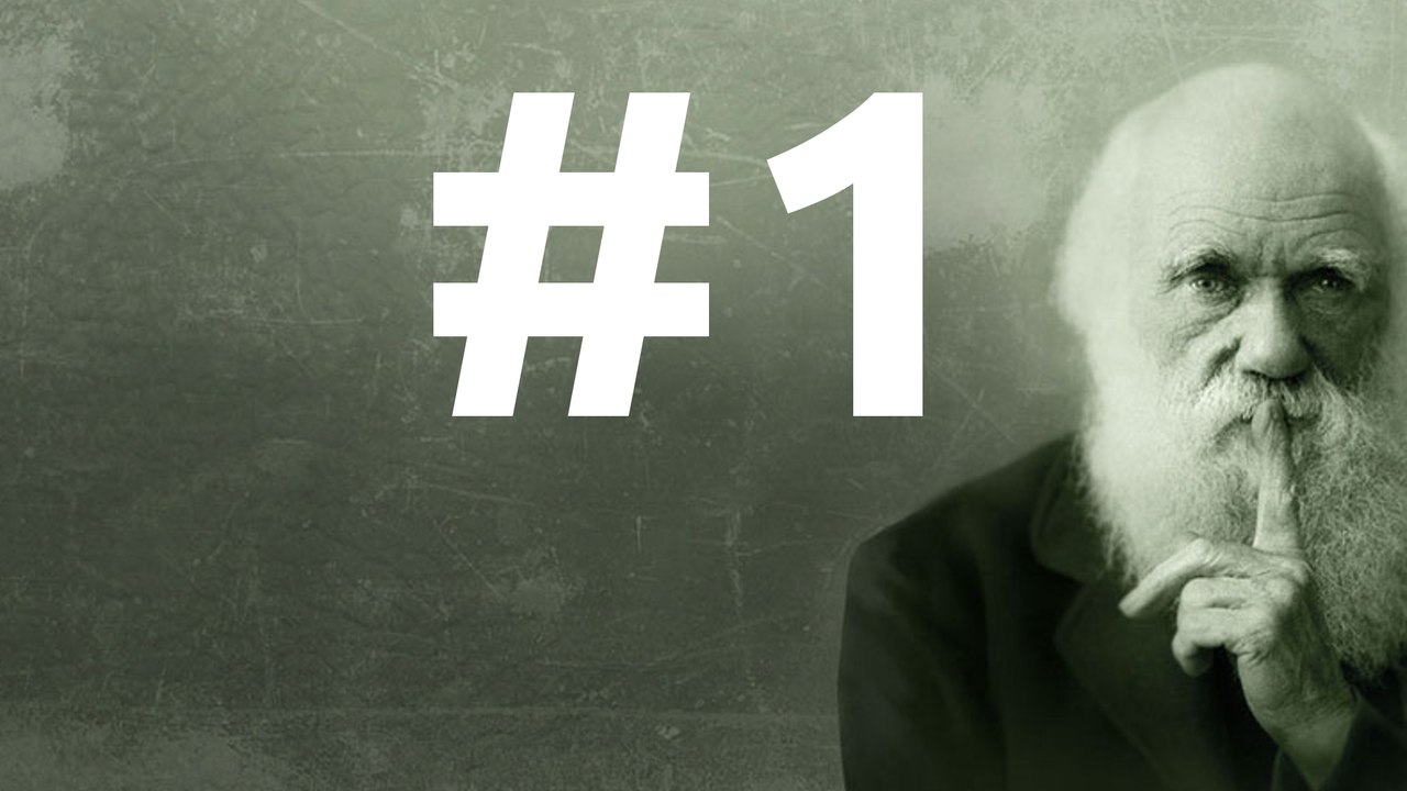 SLEDD #1 du 4 Septembre 2010, La théorie de l'évolution de Charles Darwin