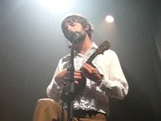 Thomas Fersen : Les papillons