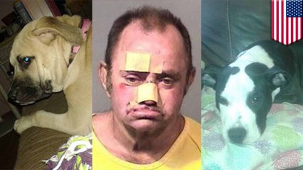 Man saves three dogs from blaze using ax, gets arrested