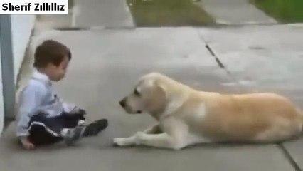 ---سبحان الذى خلق الرحمة فى قلوب الحيوان