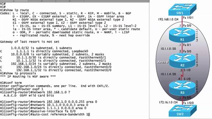 207.OSPFv2 Configuration and Verification