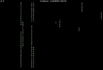 Bash matrix effect pattern demonstration