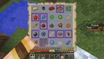 Minecraft Bingo 2 of 3 - Lets Hunt For Spiders - Minecraft Scavenger Hunt