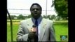funny cats Black News Reporter Fail on Location very funny funny halloween costumes for women