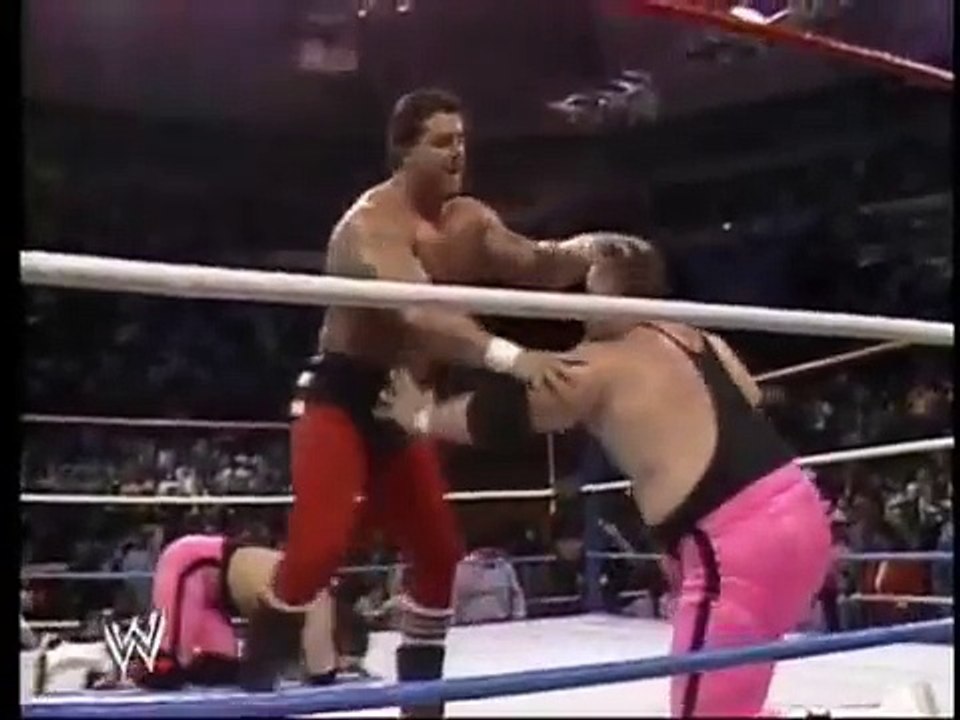 Tag Titles   British Bulldogs vs Hart Foundation   SuperStars Feb 7th, 1987
