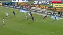 Sjajan gol Ilicica za vodstvo Fiorentine (Ilicic amazing goal) Fiorentina - Torino 1:0 24.01.2016