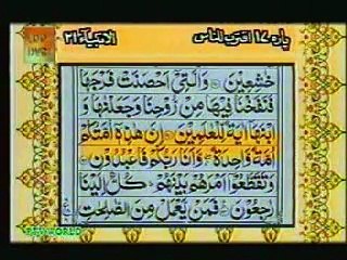 Para17-Recite of Quraan-beautiful voice-with translation-part5of12