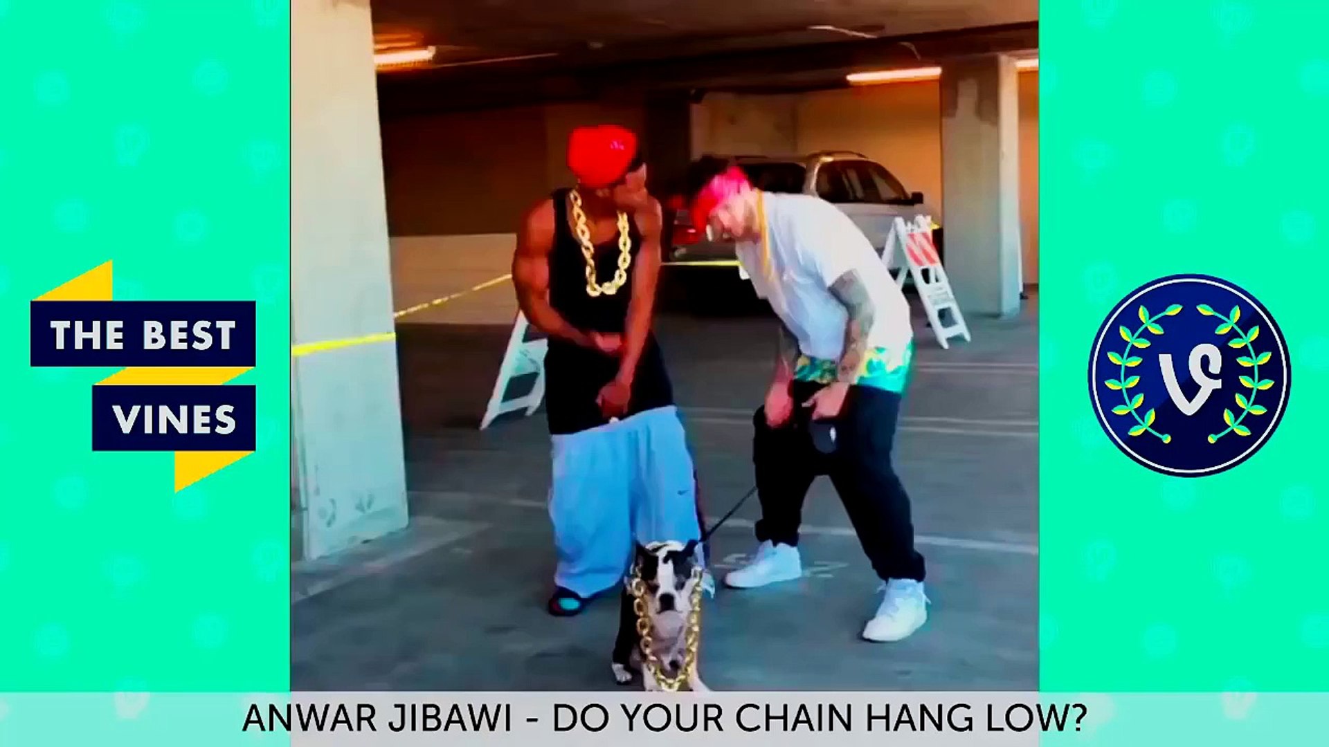 Do your chain hang low? - video dailymotion