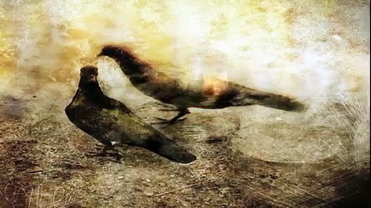 Sufi Song Osmanli Tasavvuf Muzigi - Ottoman Instrumental