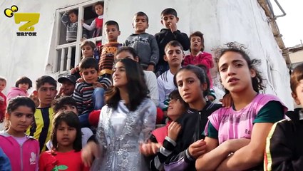 Ha Li Li: A Brief Overview