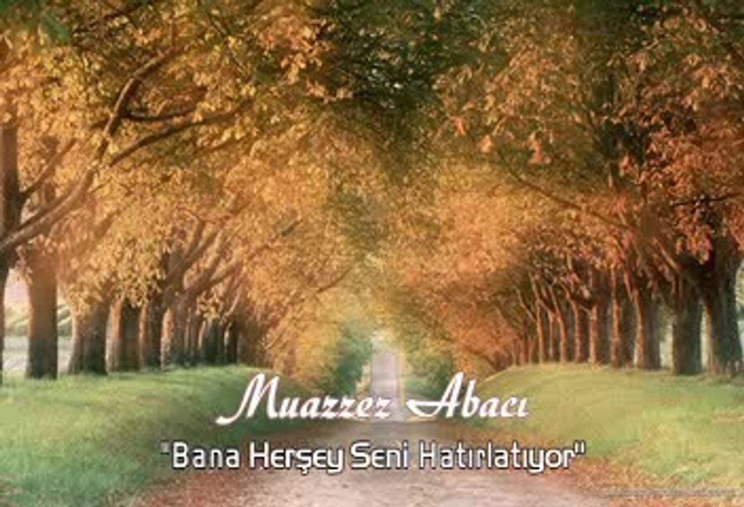 Beraber Yürüdük Biz Bu Yollarda Beraber Islandık Yağan Yağmurda Şimdi Dinlediğim Tüm Şarkılarda Bana Herşey Seni Hatırlatıyor...