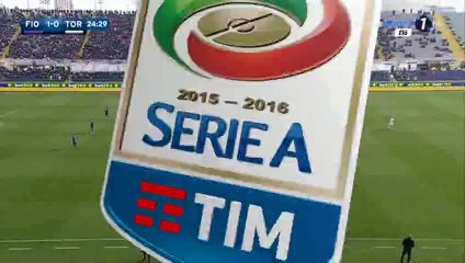 All Goals HD - Fiorentina 2-0 Torino - 24-01-2016