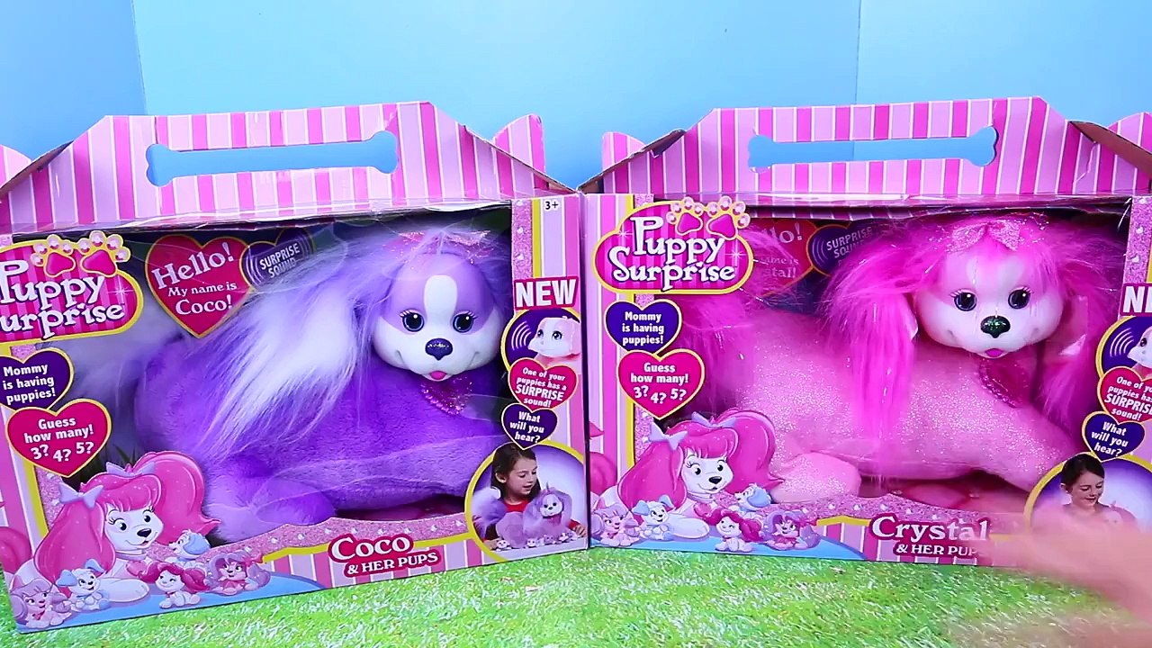 NEW Puppy Surprise 2015 Surprise Toys Dog and Cat with Kitty Surprise Toy Review by Disney
