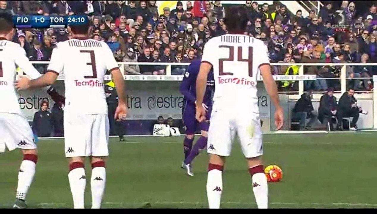 2-0 All Goals Italy  Serie A - 24.01.2016, Fiorentina 2-0 Torino FC